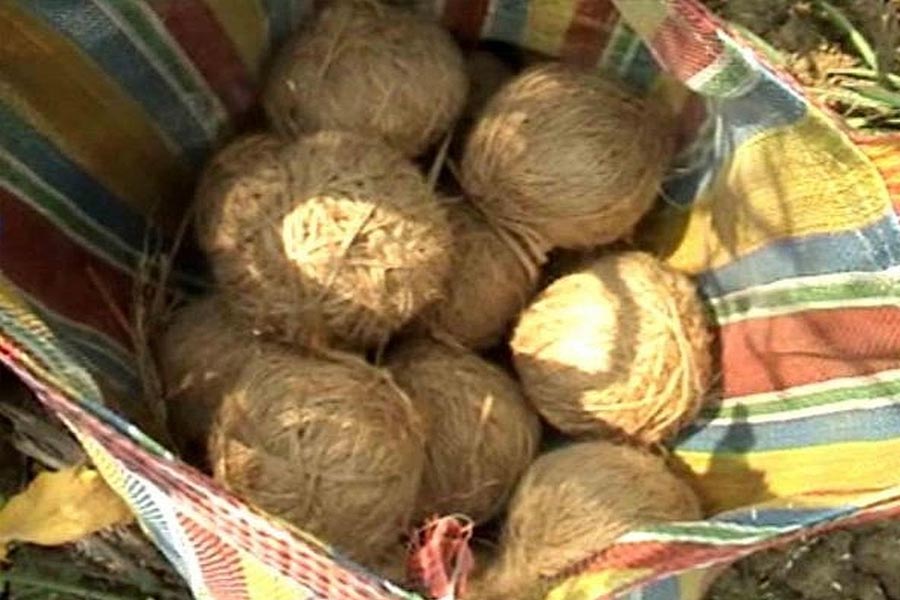 Bomb recovered from Murshidabad and Birbhum