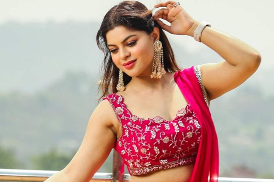 আবিষ্কারের সঙ্গে বিচ্ছেদের পর ২০১৫ সালে অনুরাগ সোলাঙ্কিকে বিয়ে করেন স্নেহা। কিন্তু বিয়ের এক বছরের মধ্যে অনুরাগের সঙ্গেও বিচ্ছেদ হয়ে যায় স্নেহার। তার পর আর বিয়ে করেননি অভিনেত্রী।