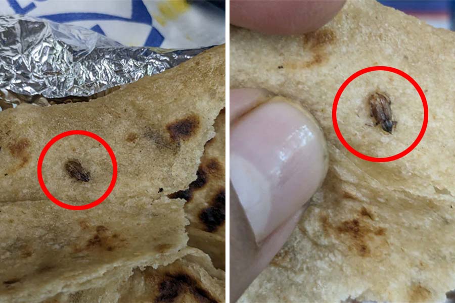 Cockroach allegedly found inside food served in Vande Bharat Express