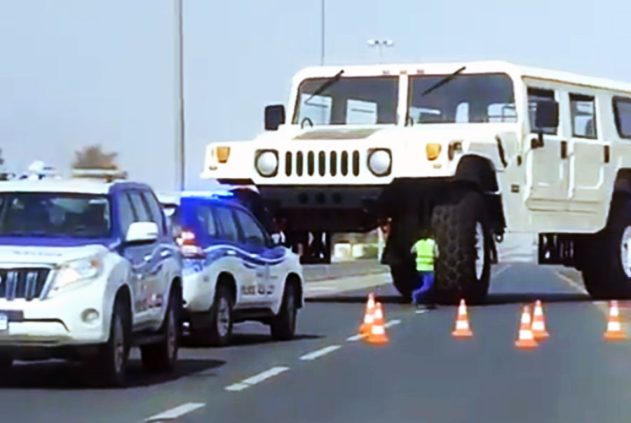 ধনী মহলে শেখ হামাদের পরিচয় ‘রামধনু শেখ’ হিসাবে। কারণ, তিনি নাকি ১৯৯০ সালে রামধনুর সাত রঙের সঙ্গে মিলিয়ে সাতটি মার্সেডিজ এস শ্রেণির গাড়ি বিয়ের উপহার হিসাবে তৈরি করে দিতে জার্মান সংস্থাকে বরাত দিয়েছিলেন। এ বার তাঁর পাহাড়প্রমাণ হামার দেখে হতবাক হওয়ার পালা। 