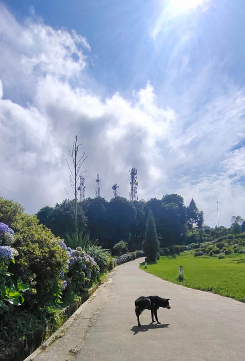 Delo park at Kalimpong
