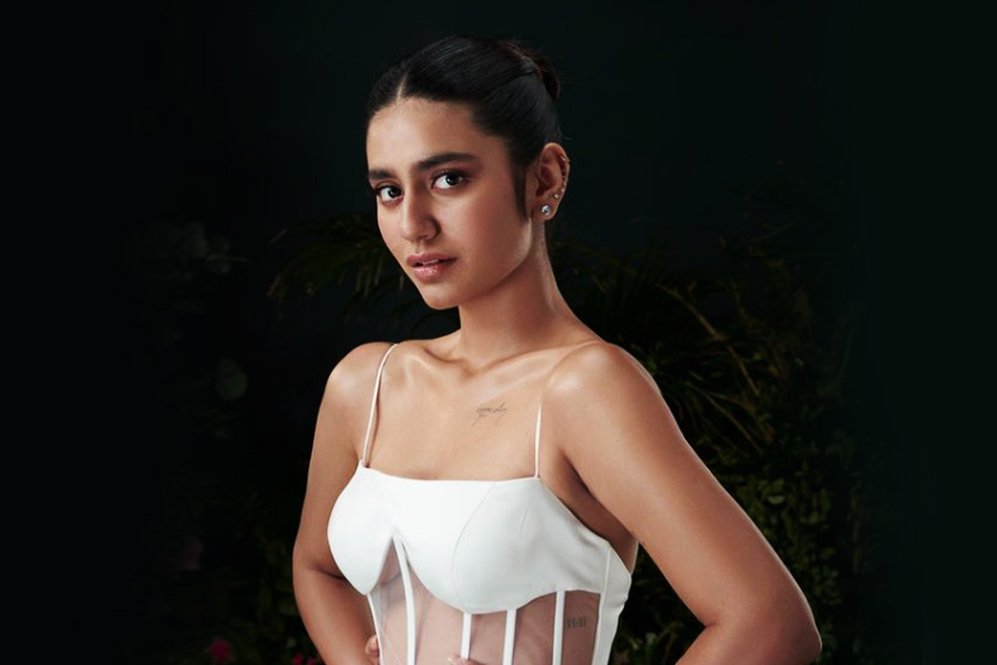 What is Wink girl of film industry, Priya Prakash Varrier doing now