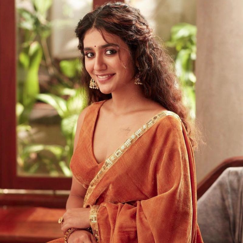 What is Wink girl of film industry, Priya Prakash Varrier doing now