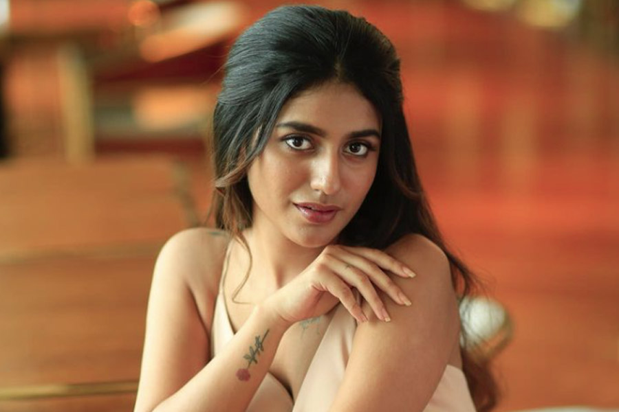 What is Wink girl of film industry, Priya Prakash Varrier doing now