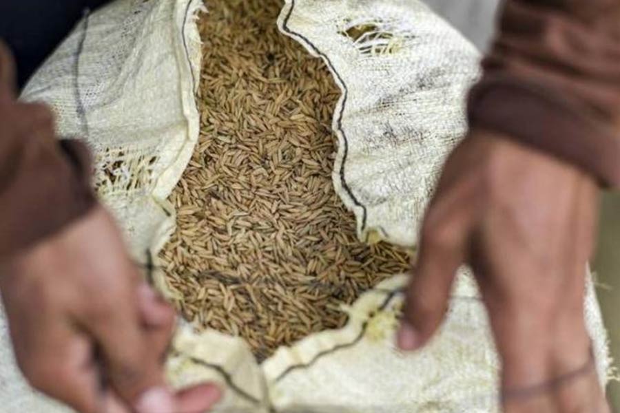 Russia bans grain export to stabilize domestic market after India’s announce on the same.