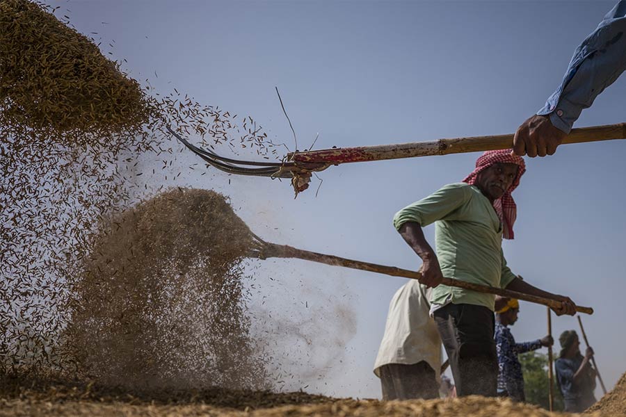 Russia bans grain export to stabilize domestic market after India’s announce on the same.