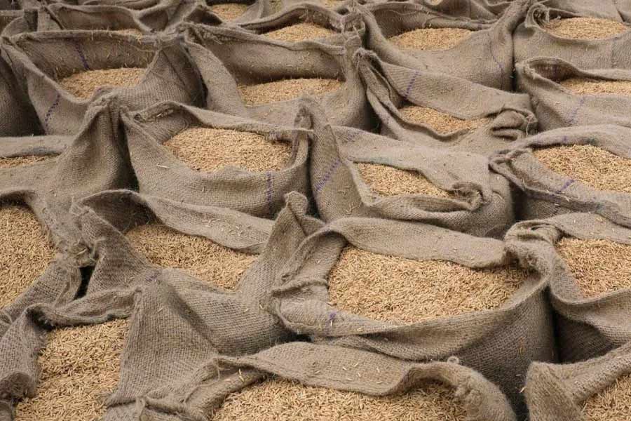 Russia bans grain export to stabilize domestic market after India’s announce on the same.