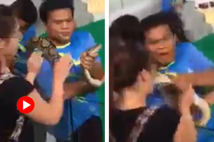 Video of woman kisses snake and it kisses back goes viral.