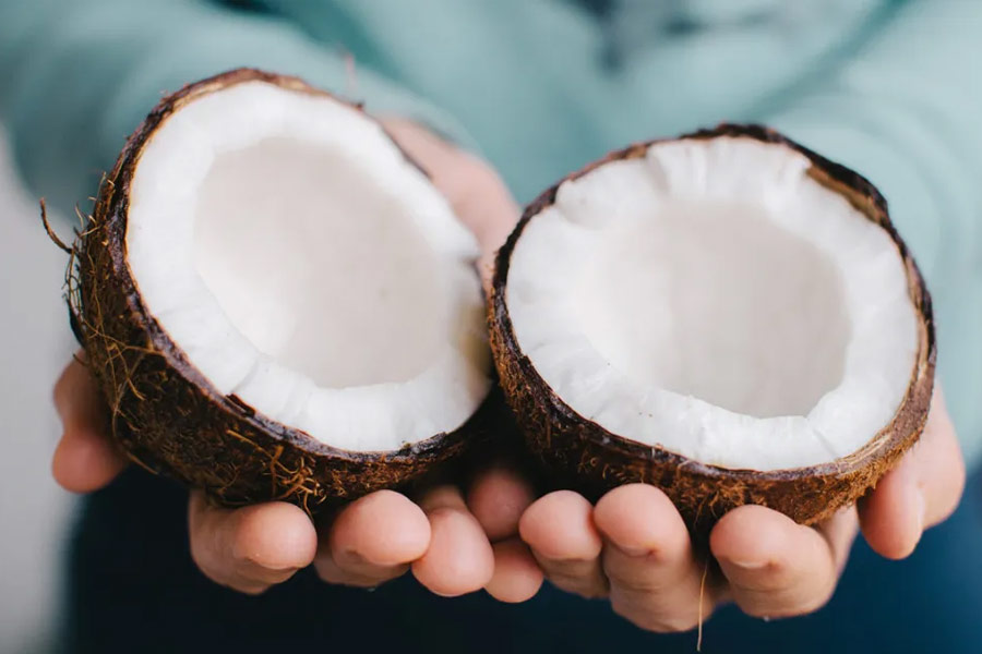 Image of Coconut.