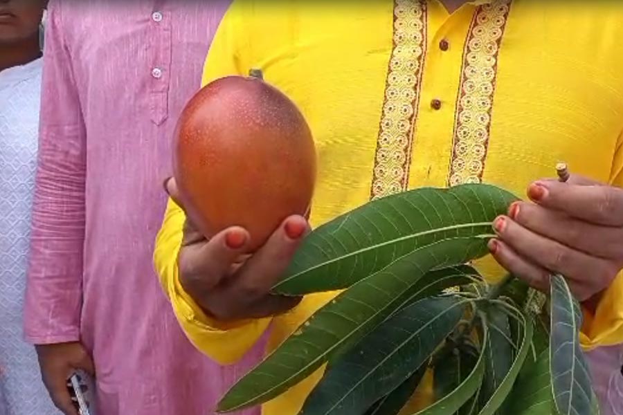 শুক্রবার নিলামে ১০ হাজার ৬০০ টাকা দিয়ে একটি আম কেনেন জনৈক মির্জা ইজাজ। 