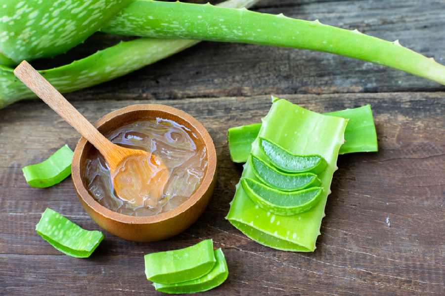 Image of Aloe Vera.
