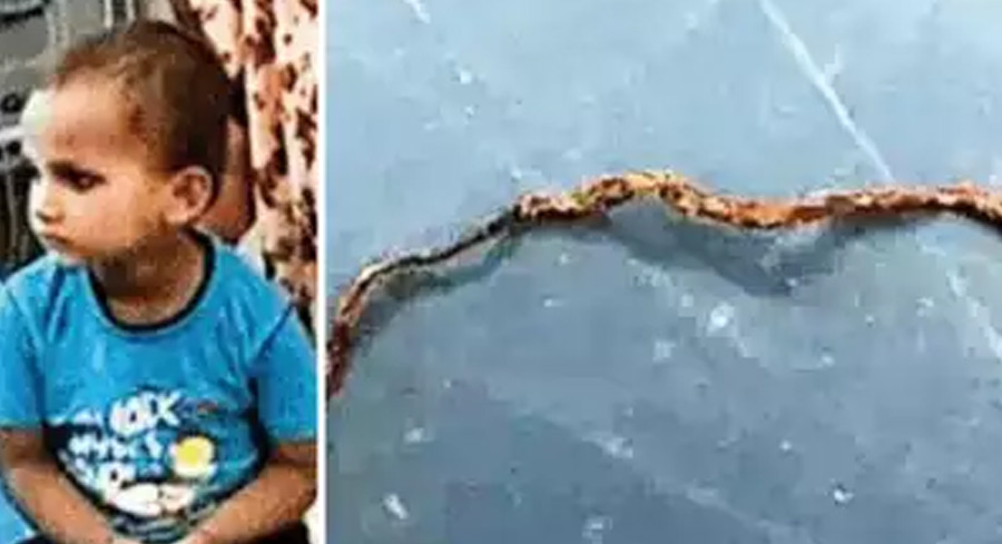 3 year old boy chews up small snake in UP.