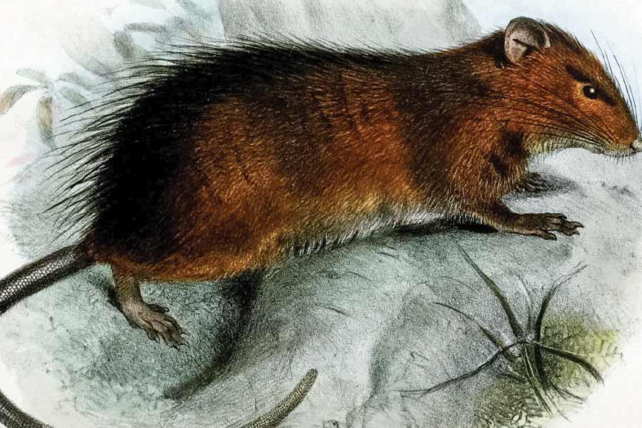 representative photo of child