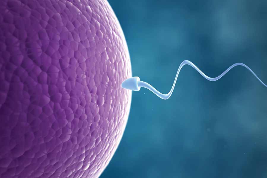 representative photo of child