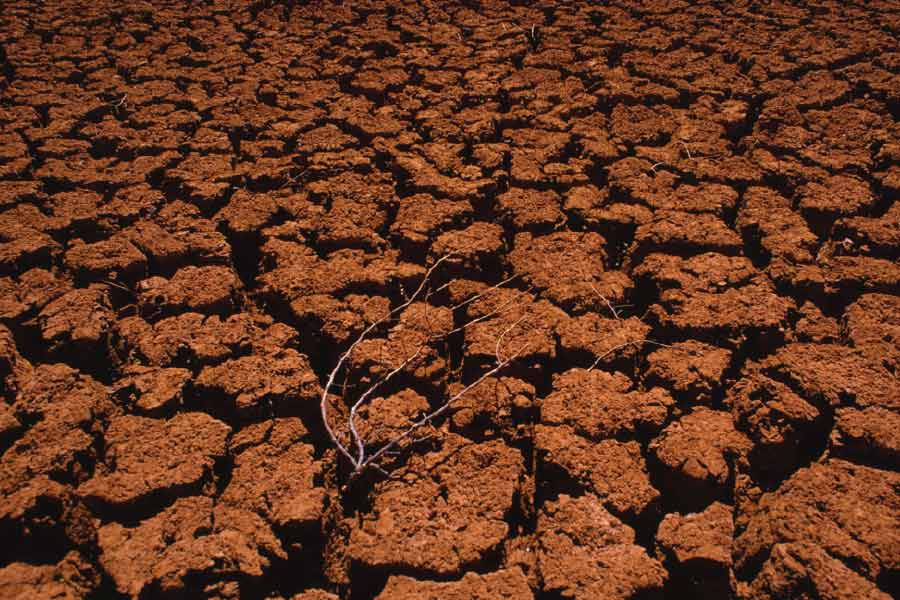 গ্রামের বয়স্করা এর পর এক জ্যোতিষীকে বিষয়টি জানাতে তিনি বলেন, তৃষ্ণার্ত মৃতদেহকে কবর দেওয়ার জন্যই গ্রামবাসীদের ‘শাস্তি’ পেতে হচ্ছে। 