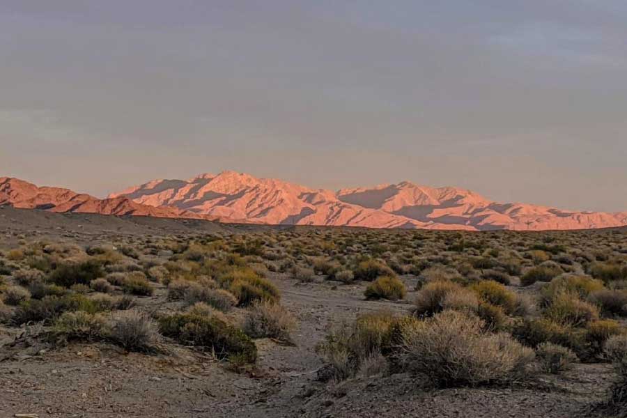 সংবাদমাধ্যমের দাবি, ১৯৯৫ সালে চিলির ২২ হাজার ফুট উঁচু ওহাস দেল সালাদো পাহাড়ে চড়তে গিয়ে মৃত্যু হয় ওয়েন্ডেলের। তবে আজও তাঁর রসিকতার চিহ্ন পড়ে রয়েছে ক্যালিফোর্নিয়ার মরুতে।