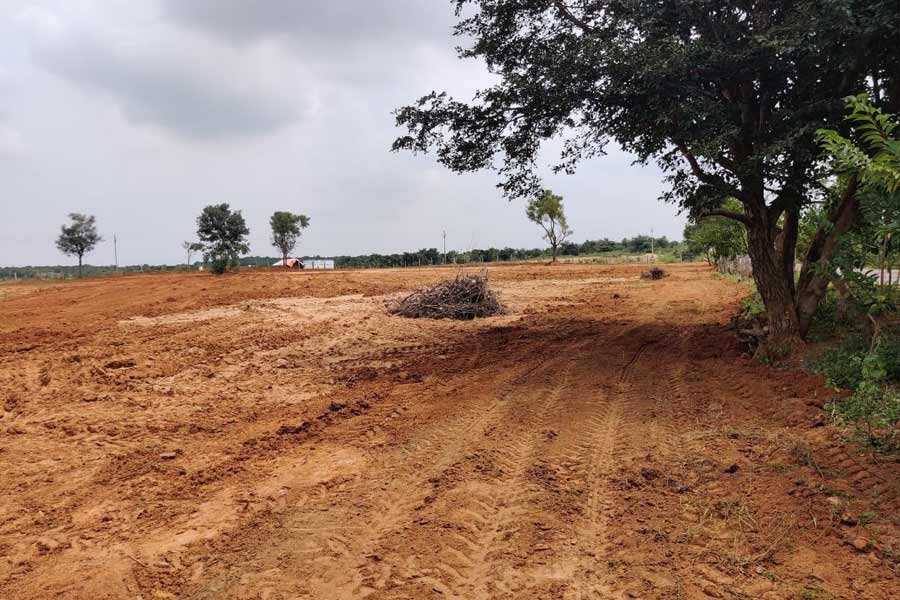 বিহারের বাঁকা জেলার রাজৌরি ব্লকের বাসিন্দারা চমকে গিয়েছিলেন দেখে। রাতারাতি দু’কিলোমিটার রাস্তা উধাও হয়ে যাওয়ার ঘটনা আগে কখনও শোনননি তাঁরা। অনেক পরে জানা যায় রাস্তা ‘চুরি’ করেছে একদল দুষ্কৃতী। ওই রাস্তার জায়গায় কৃষিক্ষেত্র বানিয়ে তাতে শস্যের বীজও বুনে দিয়ে গিয়েছিল তারা। 