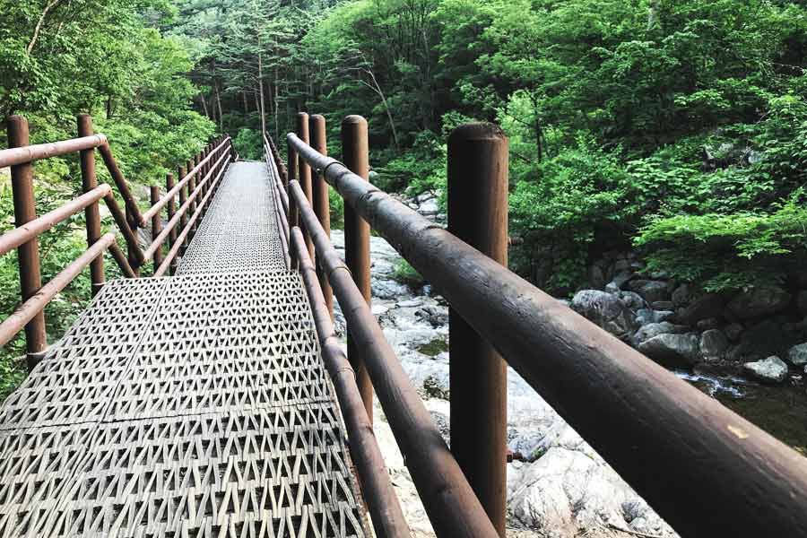 নিজেদের সরকারি সেচ দফতরের কর্মী বলে পরিচয় দিয়ে লোহার সেতুটিকে এলাকাবাসীর চোখের সামনে দিয়ে খুলে নিয়ে যায় চোরেরা। সরকার এই চুরির ব্যাপারটি বুঝে ওঠার আগেই সেতু নিয়ে ধরাছোঁয়ার বাইরে চলে যায় চোরেরা।