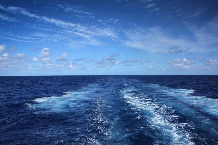 আফ্রিকা উপকূল সংলগ্ন আটলান্টিক মহাসাগর এবং ভূমধ্যসাগর এই মাছের বাসস্থান। 