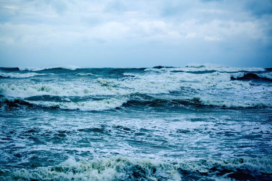 সামুদ্রিক প্রাণীবিদ ক্যাথরিন জাদো সমুদ্রের মাছ নিয়ে গবেষণা করেছেন। তিনি জানিয়েছেন, সালেমা পর্জি খেলে মানুষের স্নায়ুতন্ত্রকে প্রভাবিত হতে পারে। এলএসডি খেলে যেমন নেশা হয়, এই মাছ খেলেও তেমন হতে পারে।