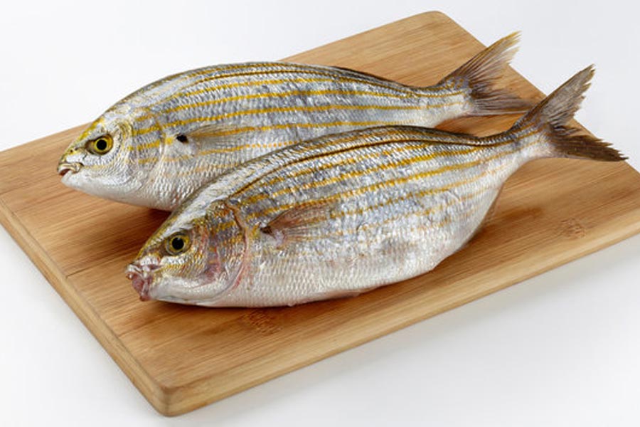  কয়েক জন বিজ্ঞানীদের দাবি, এই মাছের মাথা না খেলে নেশা হয় না। মাথা ছাড়া মাছ মরিচ আর লেবু দিয়ে সেঁকে অনেকেই খেয়ে থাকেন। তবে কার কখন নেশা হতে পারে, তার উত্তর নেই। তবে অনেকেই মনে করেন, কোন সময় এই মাছ ধরা হয়েছে, তার উপর নির্ভর করে তা খেলে কতটা নেশা হবে।