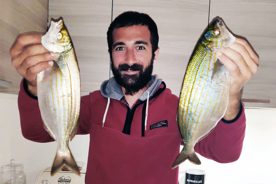 একদল বিজ্ঞানী মনে করেন, শরৎকালে এই মাছে টক্সিসিটি সব থেকে বেশি থাকে। তখন এই মাছ খেলে নেশা হতে বাধ্য। যদিও এই মাছ খেয়ে নেশা হওয়ার যত ঘটনা প্রকাশ্যে এসেছে, তা সবই বসন্তের শেষে এবং গ্রীষ্মে। যদিও সালেমা পর্জি নিয়ে এখনও অনেক প্রশ্নের জবাব মেলেনি।