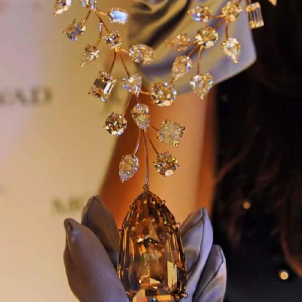 নেকলেসে বসানোর আগে সেই হিরে বিভিন্ন প্রদর্শশালায় প্রদর্শিত হয়েছিল। ওয়াশিংটন ডিসির স্মিথসোনিয়ান ইনস্টিটিউশনেও প্রদর্শিত হয়েছিল সেই হিরে।