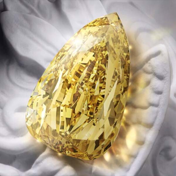 নেকলেসটির নাম ‘মোওয়াদ ল’ইনকম্পারেবল’। দুনিয়ার সব থেকে দামি নেকলেসের শিরোপা পেয়েছে সে। এর বর্তমান দাম ৬ কোটি আমেরিকান ডলার। ভারতীয় মুদ্রায় ৪৯২ কোটি টাকা।