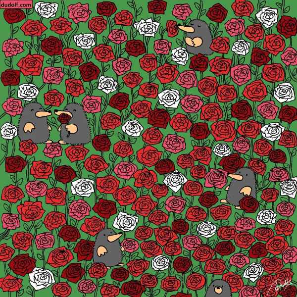 ধাঁধার প্রশ্ন।