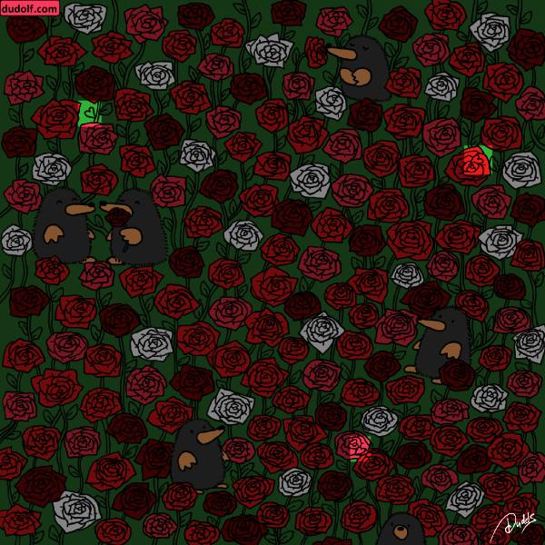 ধাঁধার সমাধান