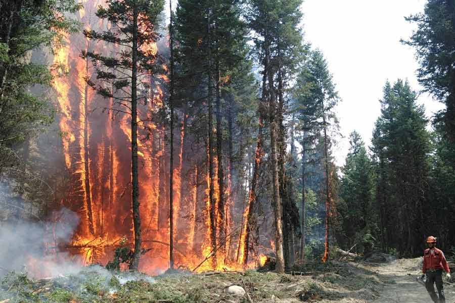 Image of Wildfires rage in Canada