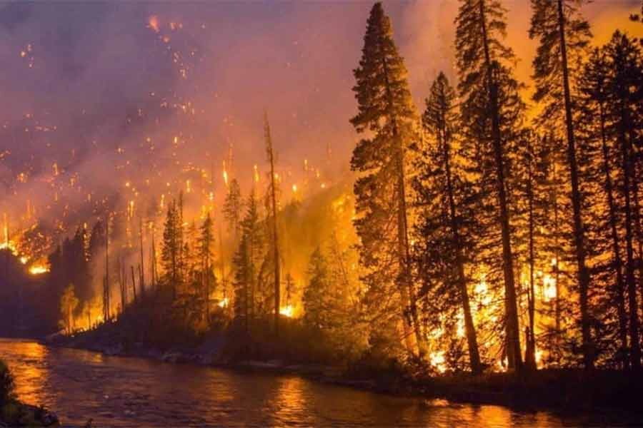 Image of Wildfires rage in Canada