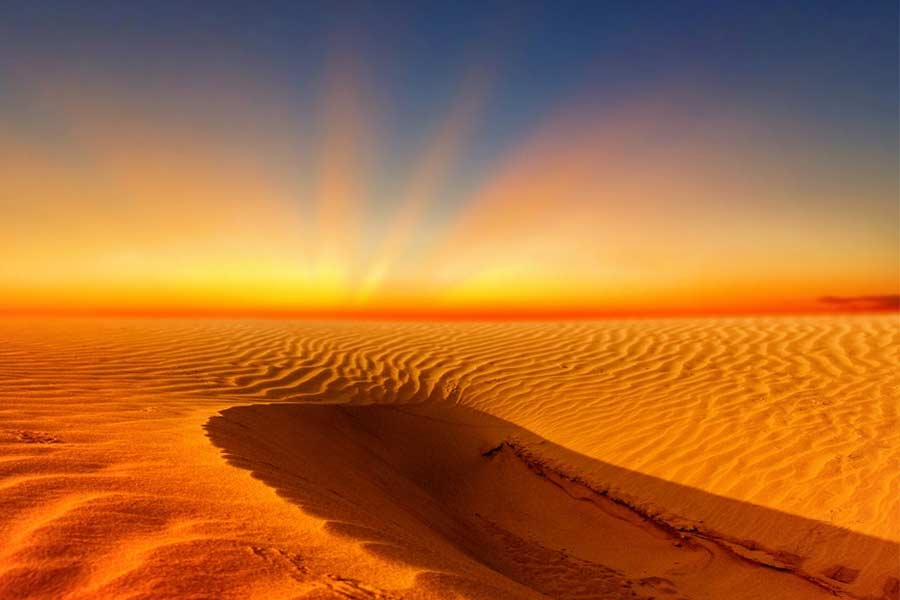 পরিসংখ্যান বলছে, আফ্রিকার সাহারা মরুভূমিতে এখনও পর্যন্ত সর্বোচ্চ তাপমাত্রা পৌঁছেছিল ৫৮ ডিগ্রি সেলসিয়াসে। কিন্তু ৫১ হোক বা ৫৮, কোনও ক্ষেত্রেই তেমন প্রাণহানির নজির নেই।