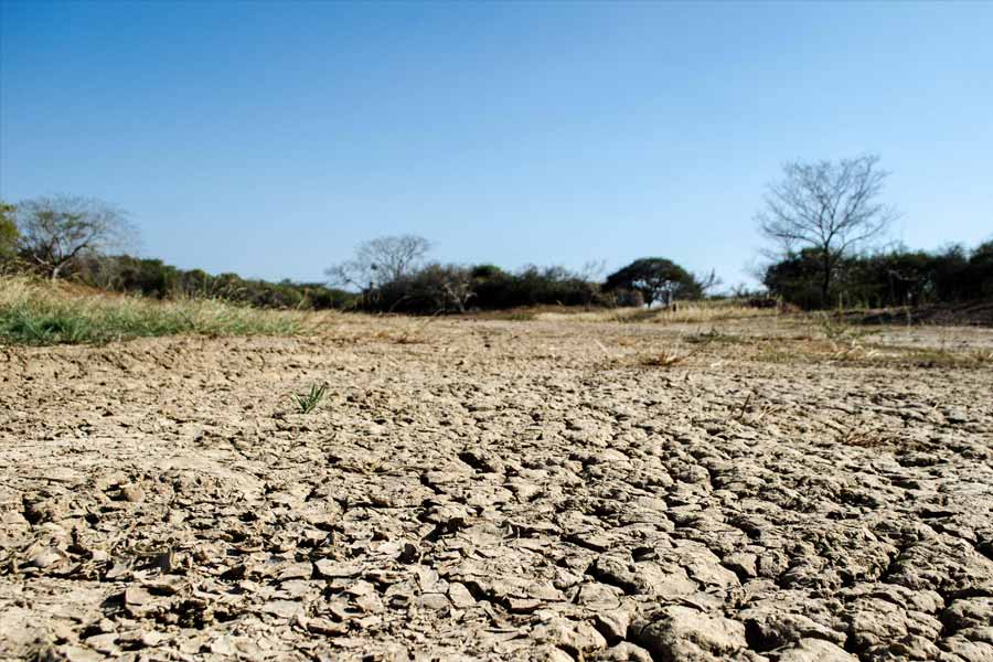 El nino returns after seven years in Pacific Ocean what will be the impact.