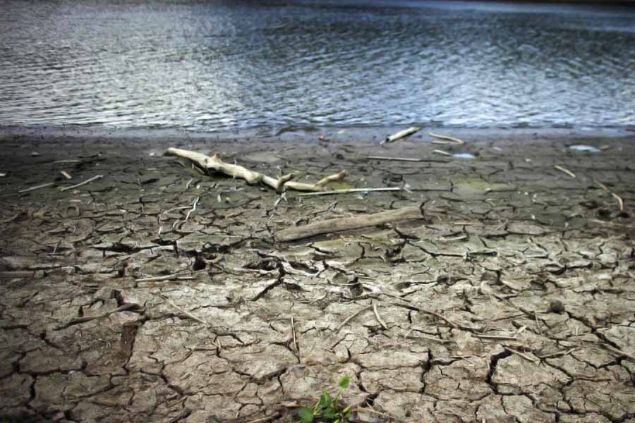 El nino returns after seven years in Pacific Ocean what will be the impact.