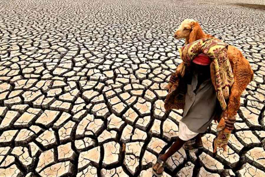 El nino returns after seven years in Pacific Ocean what will be the impact.