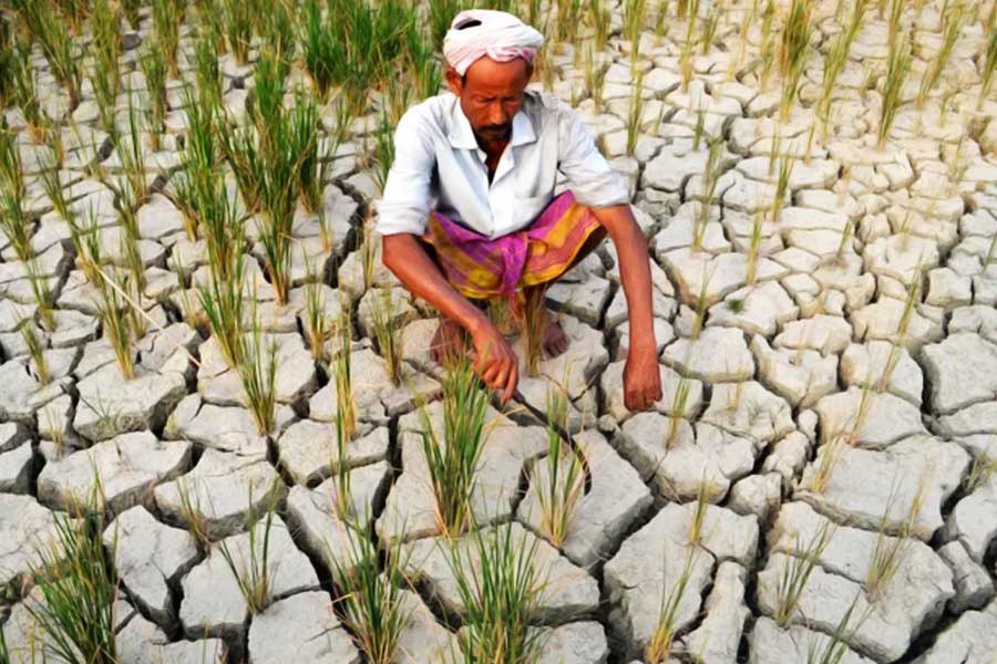 El nino returns after seven years in Pacific Ocean what will be the impact.