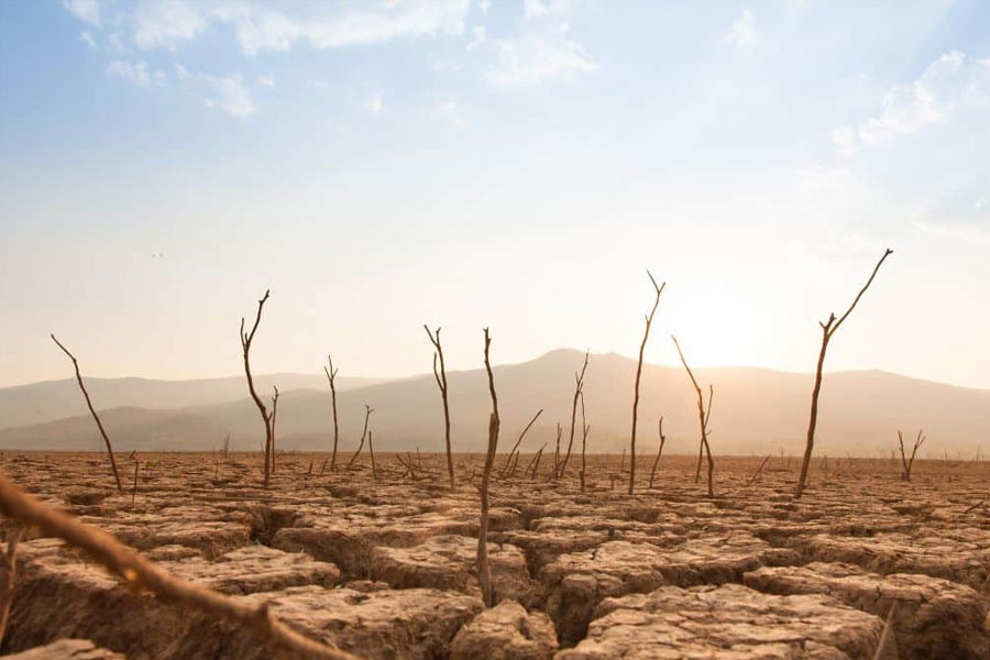 El nino returns after seven years in Pacific Ocean what will be the impact.