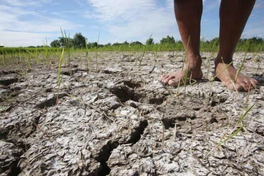 El nino returns after seven years in Pacific Ocean what will be the impact.