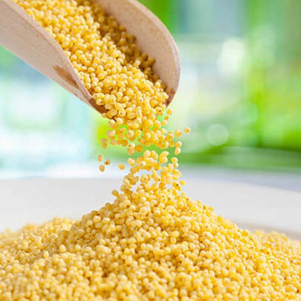 New Jersey restaurant arranges Modi Ji Thali ahead of PM Modi’s visit.