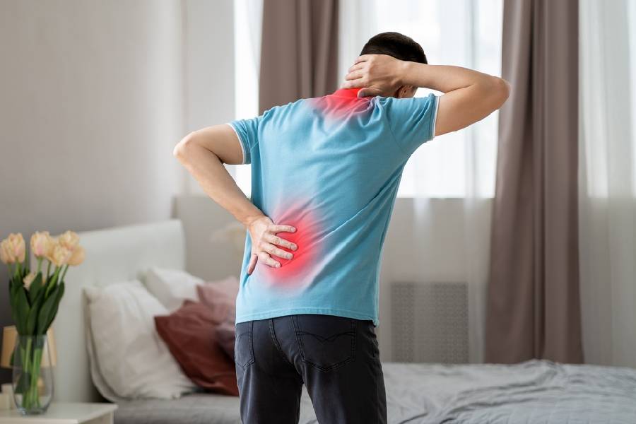 image of spine.