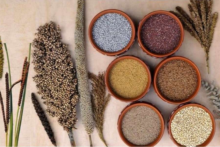 Image of different types of millets 