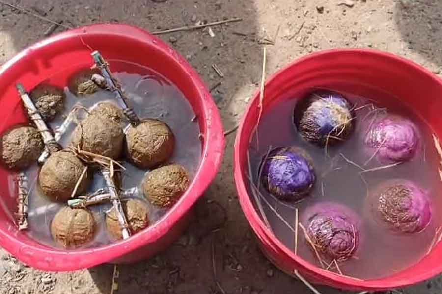Bombs recovered from two cars at Bankura