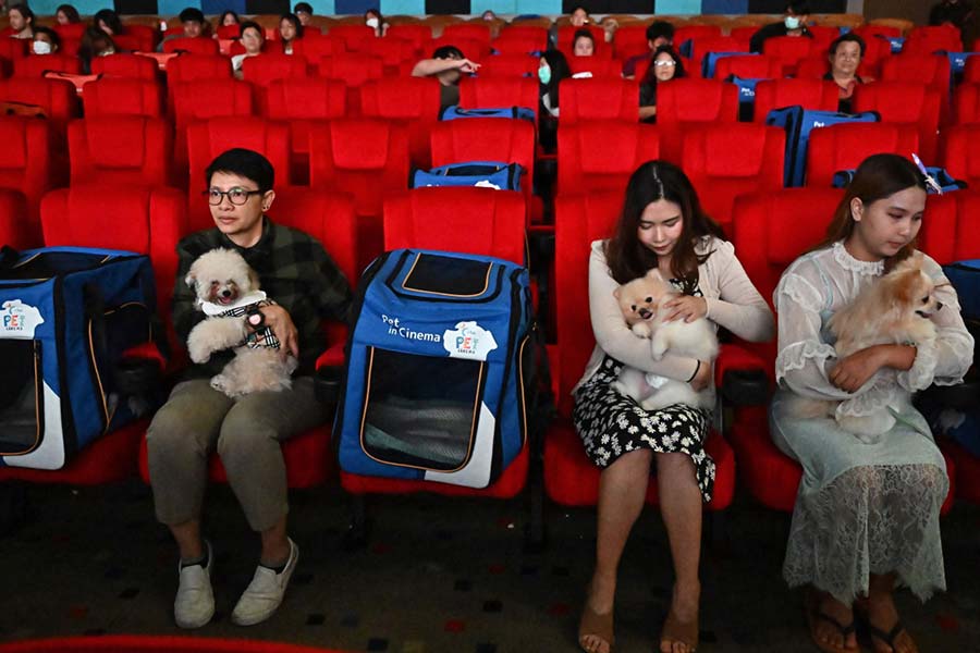 Image of pet friendly cinema hall 