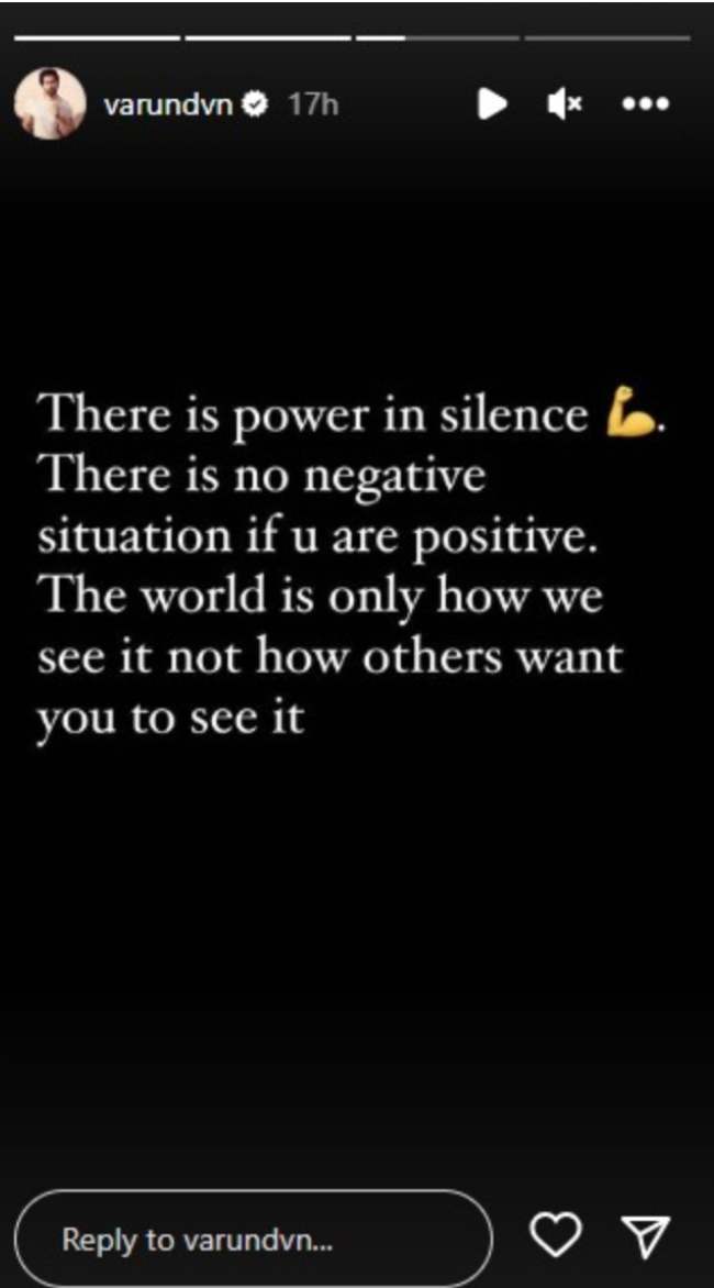 screenshot from Varun Dhawan's instagram story.