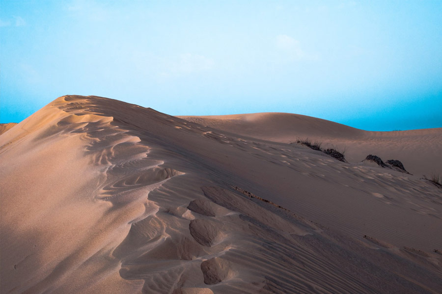 Japan’s Disappearing Dessert