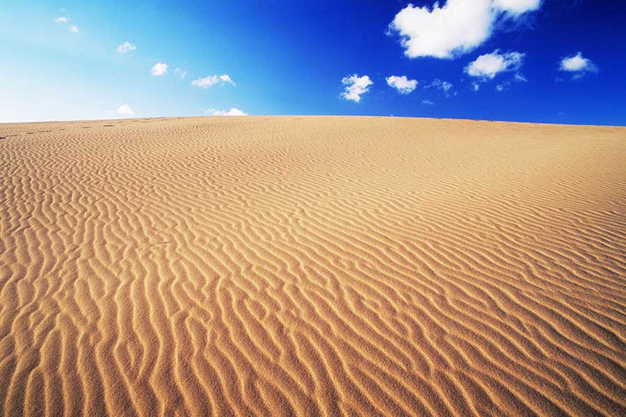 Japan’s Disappearing Dessert