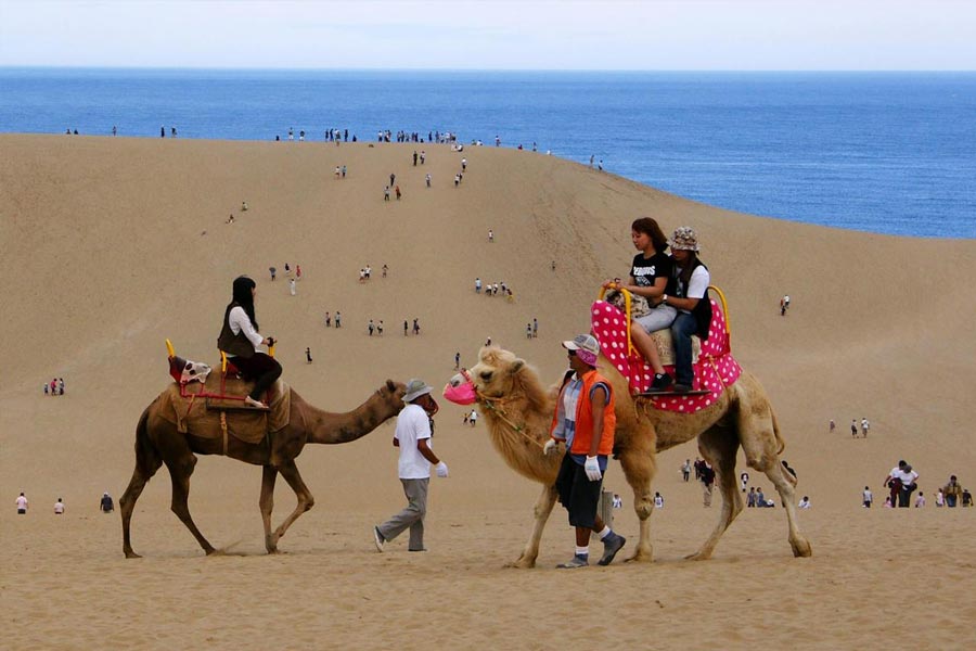 Japan’s Disappearing Dessert
