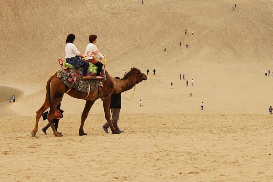 Japan’s Disappearing Dessert