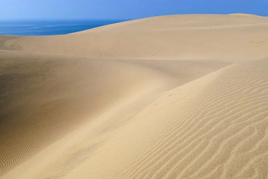 Japan’s Disappearing Dessert